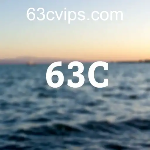 Security and Trust 63C - International Licenses and Certifications